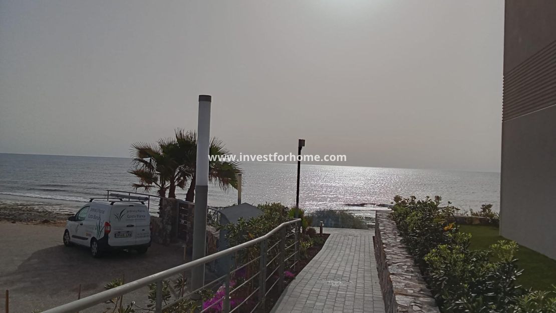 Vente - Appartement - Torrevieja - Punta prima