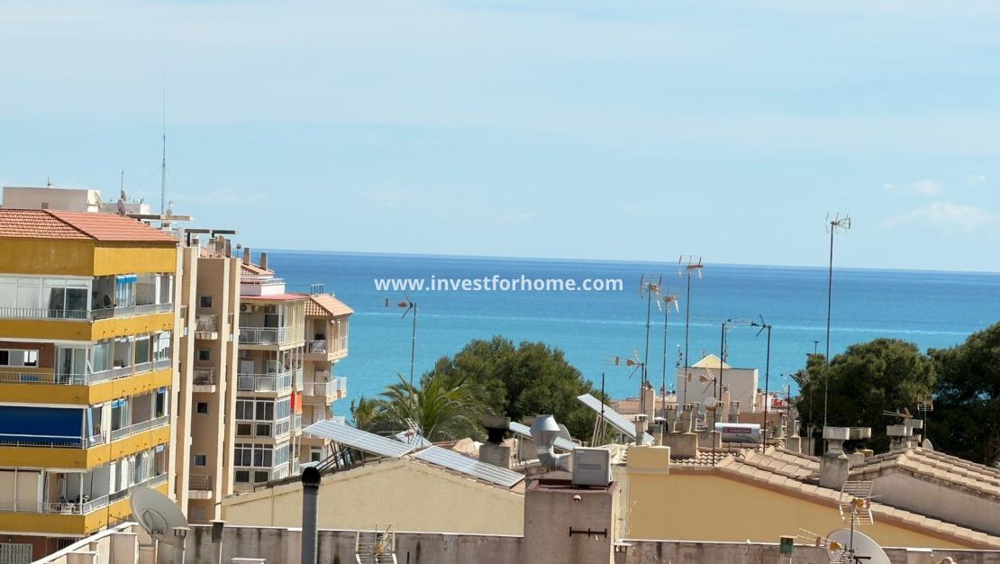 Vente - Appartement - Torrevieja - Punta prima
