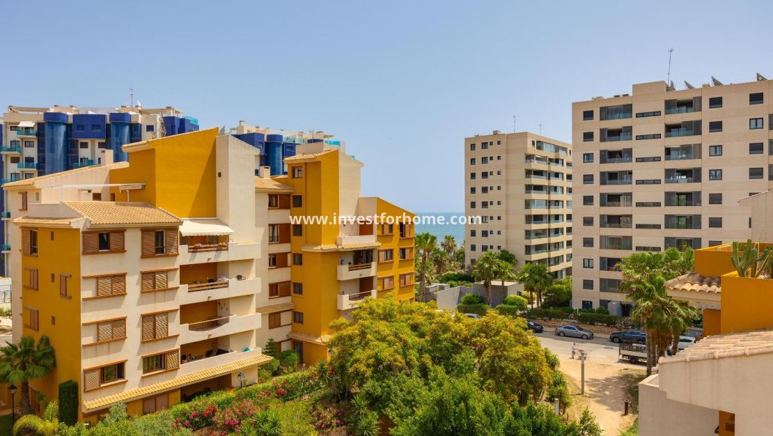 Vente - Appartement - Torrevieja - Punta prima