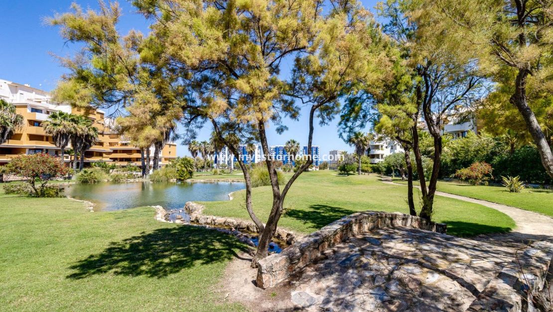 Vente - Appartement - Torrevieja - Punta prima