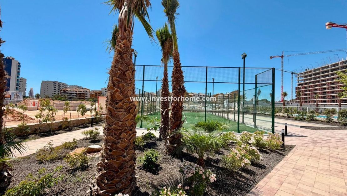 Vente - Appartement - Torrevieja - Punta prima