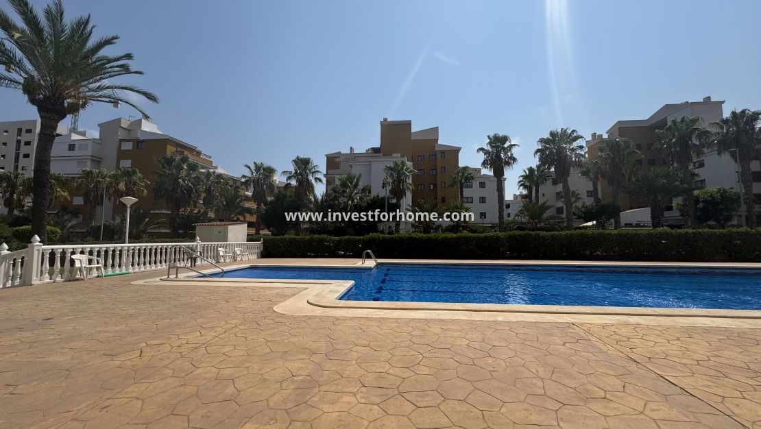 Vente - Appartement - Torrevieja - Rocio Del Mar