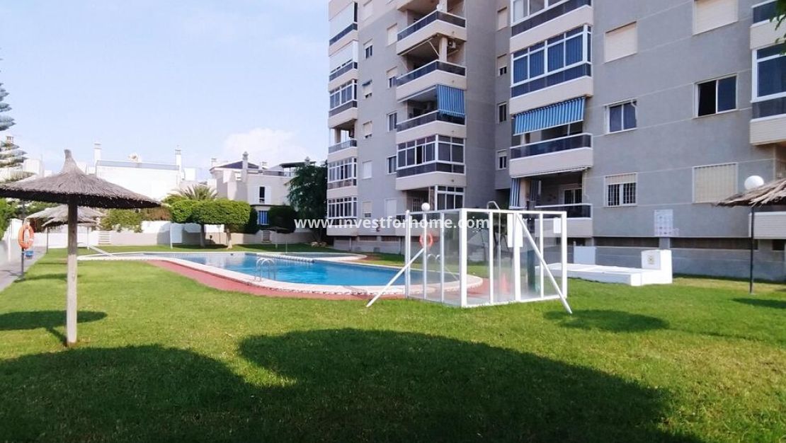 Vente - Appartement - Torrevieja - Torrelamata - La Mata