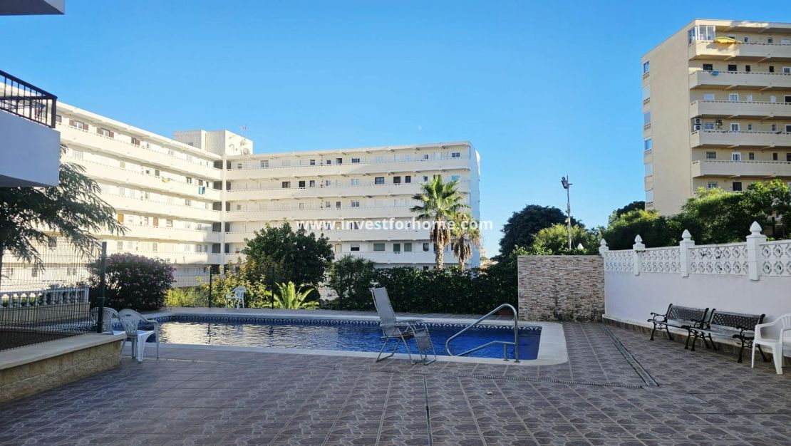 Vente - Appartement - Torrevieja - Torrelamata - La Mata