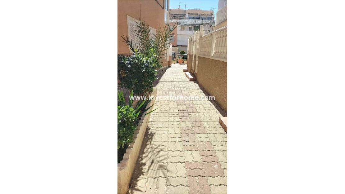 Vente - Appartement - Torrevieja - Torrelamata - La Mata