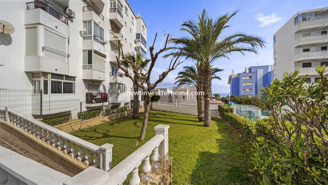 Vente - Appartement - Torrevieja - Torrelamata - La Mata