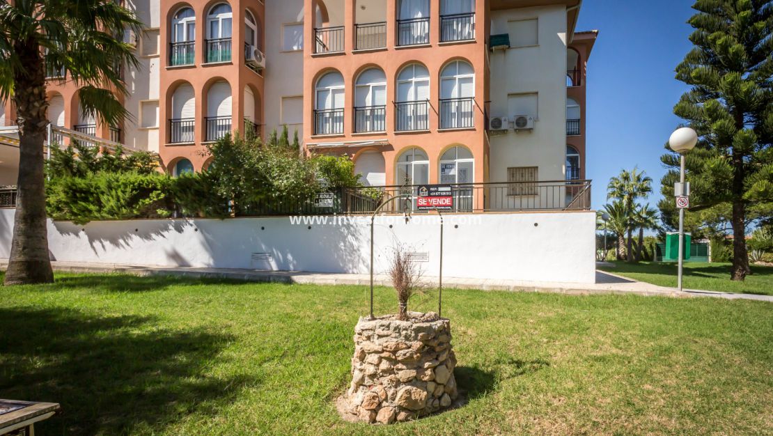 Vente - Appartement - Torrevieja - Torrelamata - La Mata