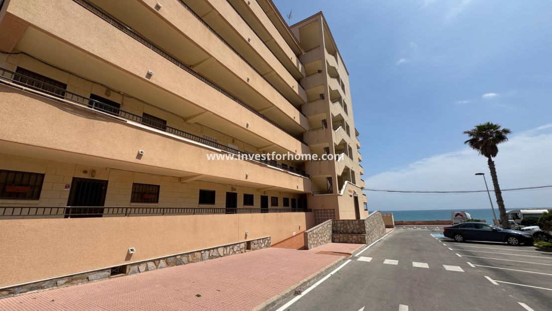 Vente - Appartement - Torrevieja - Torrevieja>Cabo Cervera