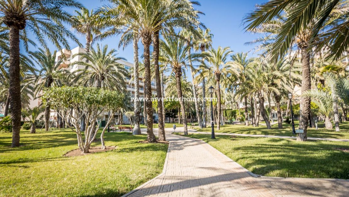 Vente - Appartement - Torrevieja