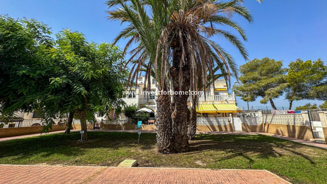Vente - Bungalow - San Miguel de Salinas - Inland