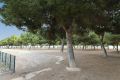 Vente - Bungalow - San Pedro del Pinatar - Costa Calida