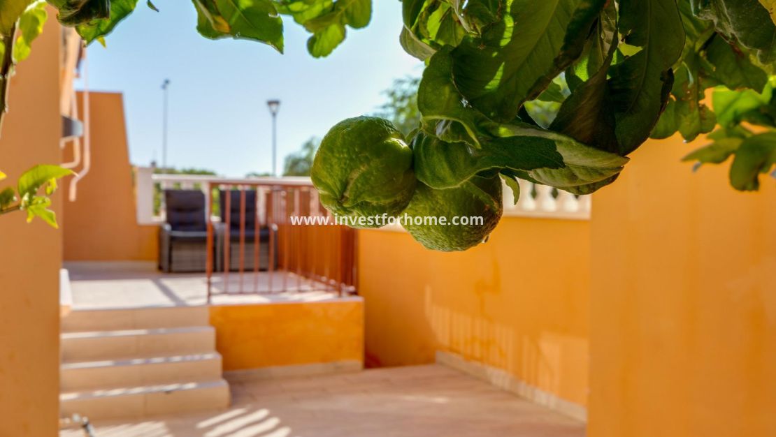 Vente - Bungalow - Torrevieja - aguas nuevas