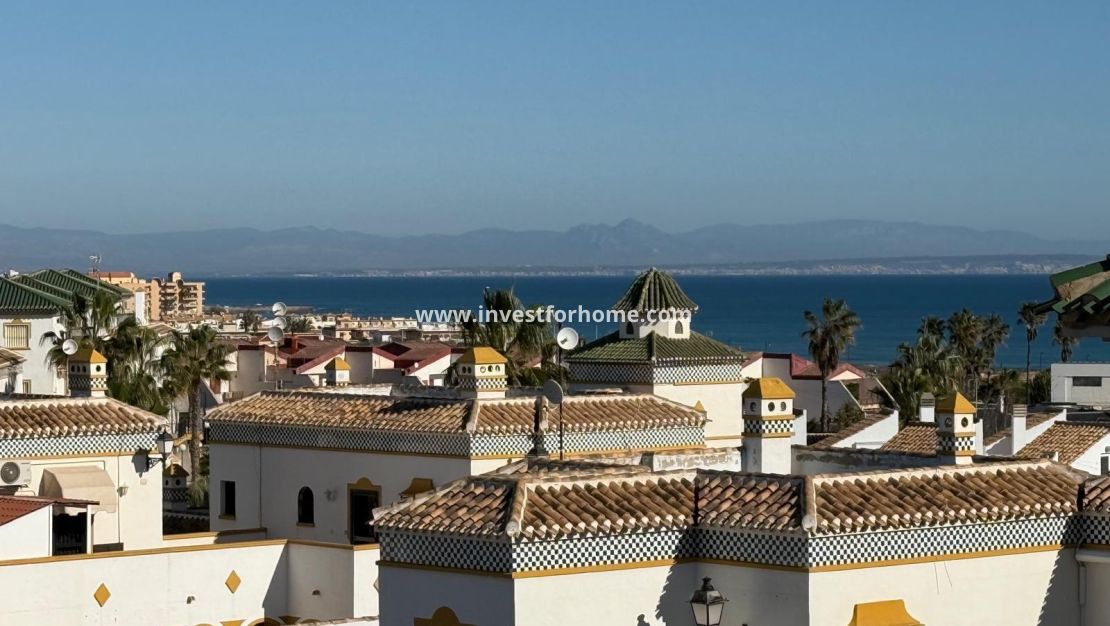 Vente - Bungalow - Torrevieja - Cañada Del Molino