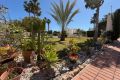 Vente - Bungalow - Torrevieja - La Siesta-El Chaparral
