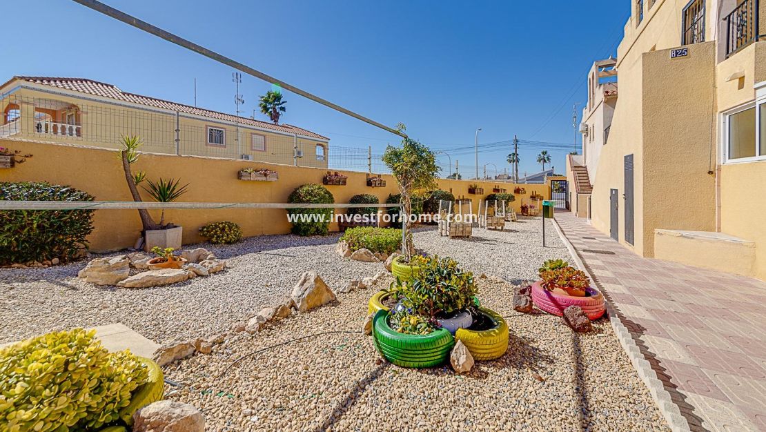Vente - Bungalow - Torrevieja - La Siesta - El Salado - Torreta