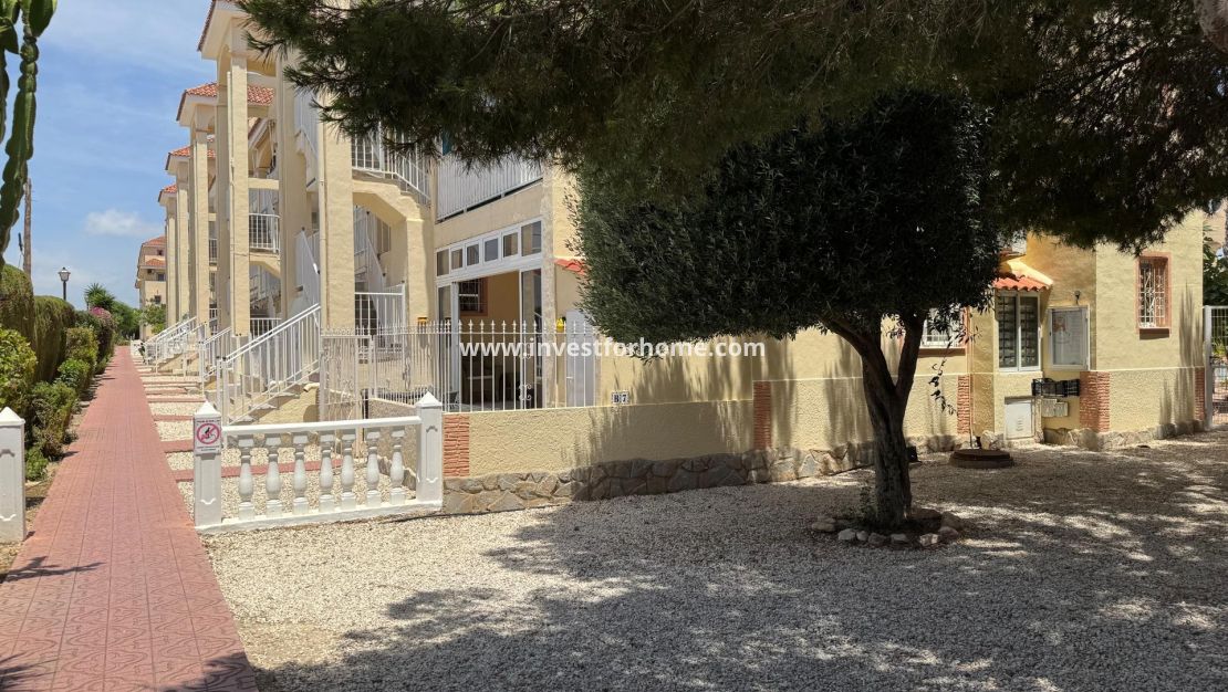 Vente - Bungalow - Torrevieja - La Siesta - El Salado - Torreta