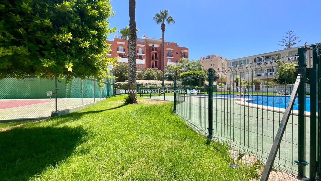 Vente - Bungalow - Torrevieja - Torrelamata - La Mata