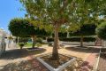 Vente - Bungalow - Torrevieja - Torrelamata - La Mata