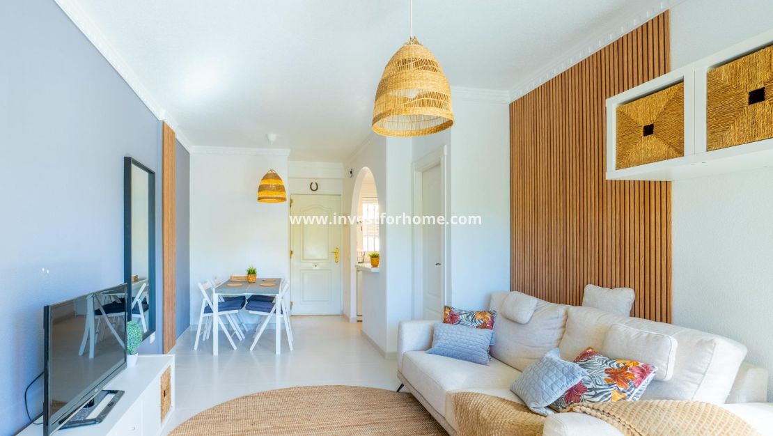 Vente - Maison - Algorfa - Comunidad Valenciana