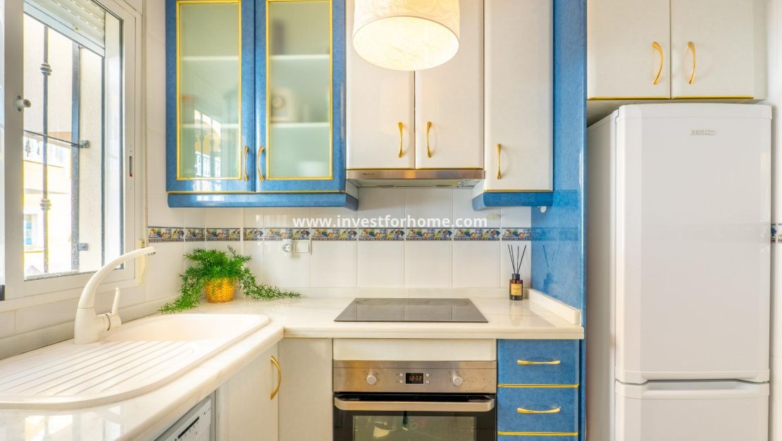 Vente - Maison - Algorfa - Comunidad Valenciana