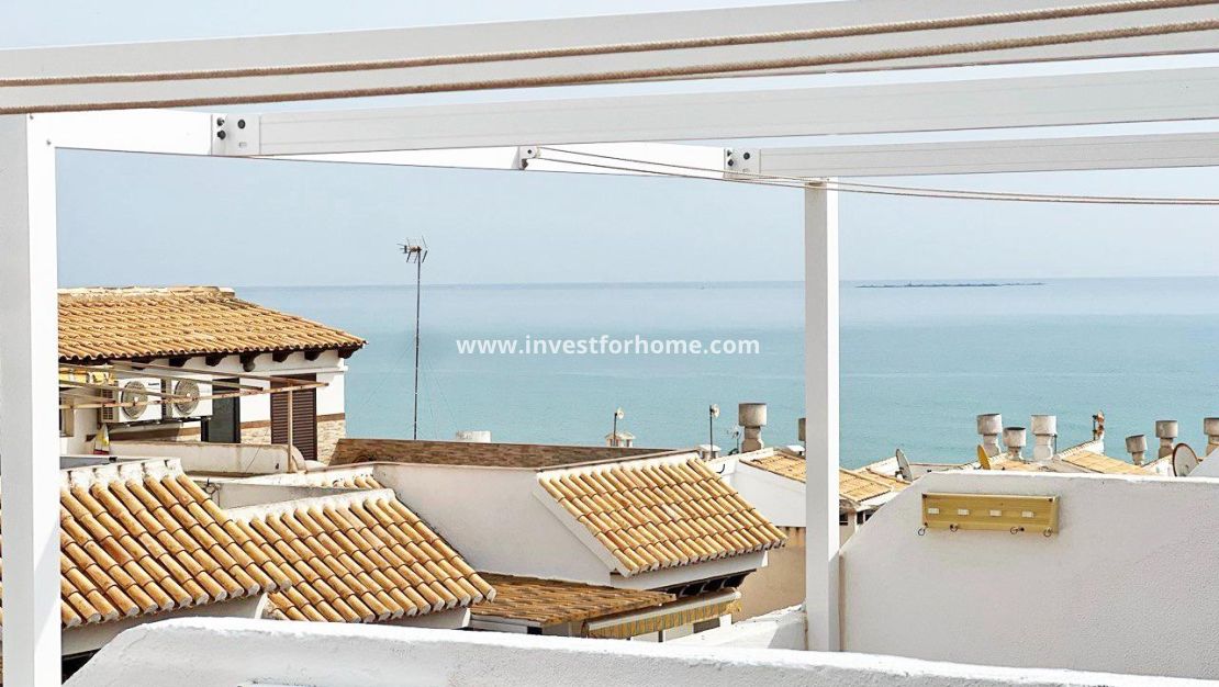 Vente - Maison - Guardamar del Segura - Benamor