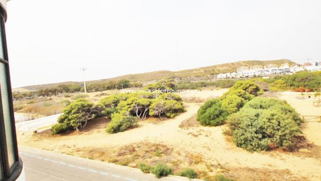 Vente - Maison - Guardamar del Segura - Benamor