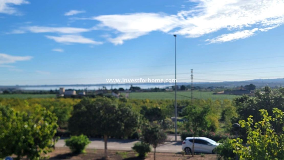 Vente - Maison - Los Montesinos - Los Montesinos - Urb. La Herrada