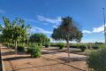Vente - Maison - Los Montesinos - Los Montesinos - Urb. La Herrada