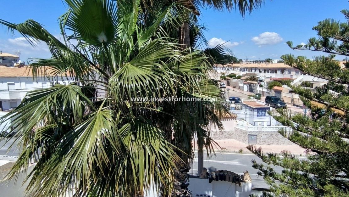 Vente - Maison - Orihuela Costa - Cabo Roig