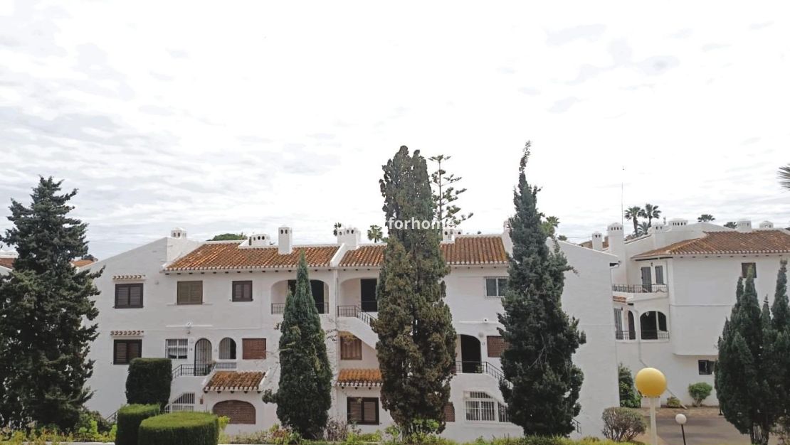 Vente - Maison - Orihuela Costa - Costa Blanca