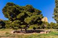 Vente - Maison - Orihuela Costa - Costa Blanca