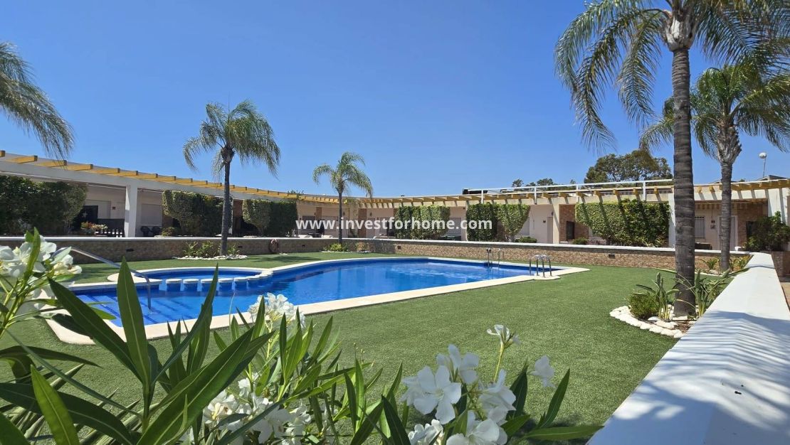 Vente - Maison - Pilar de la Horadada - Mil Palmeras