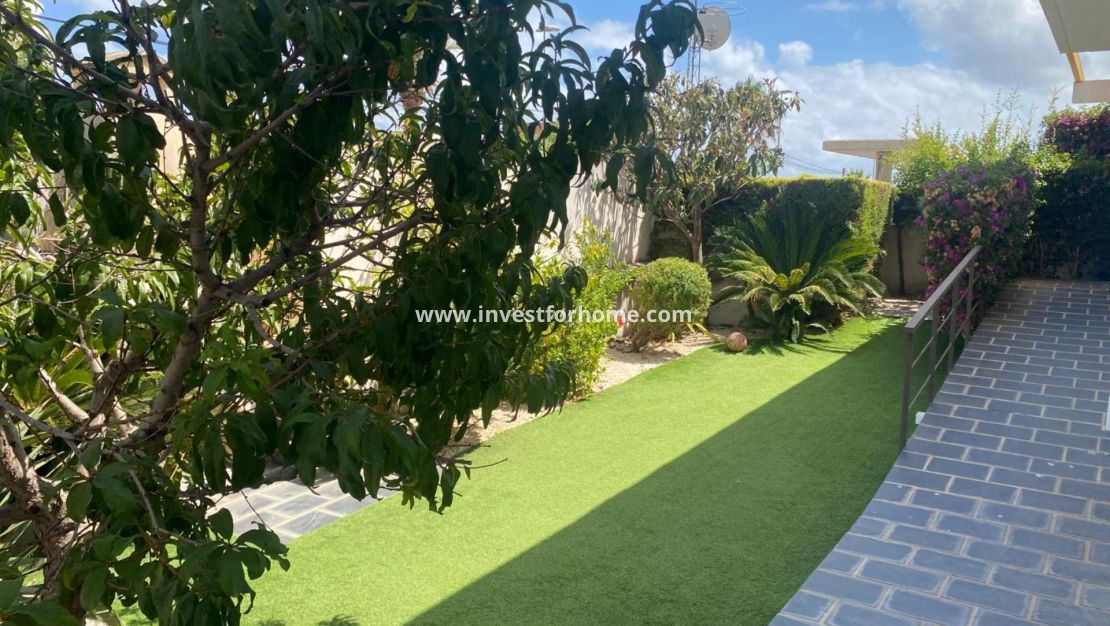 Vente - Maison - Pilar de la Horadada - Mil Palmeras