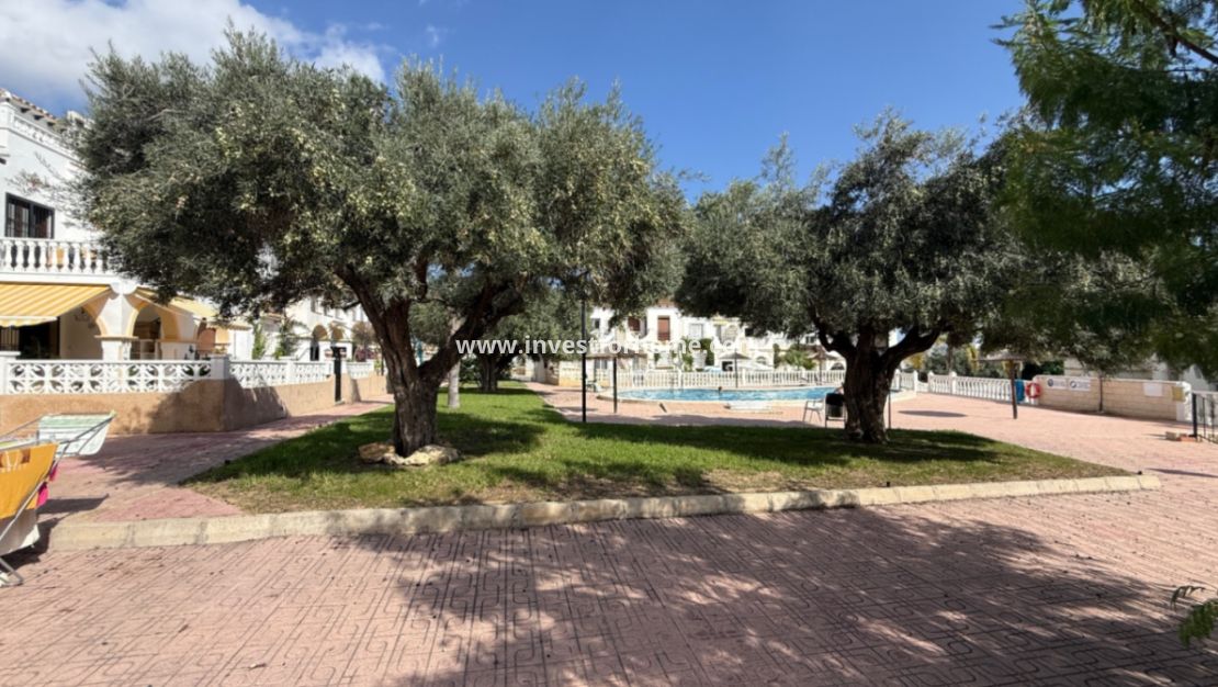 Vente - Maison - San Miguel de Salinas - Inland