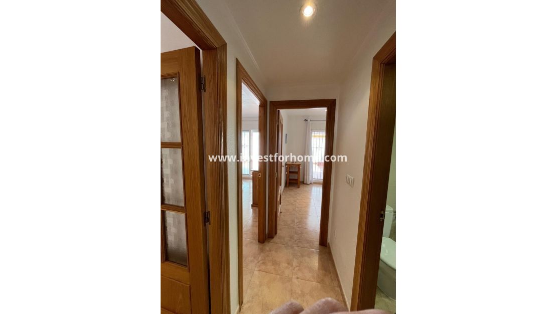 Vente - Maison - San Pedro del Pinatar - La Puntica