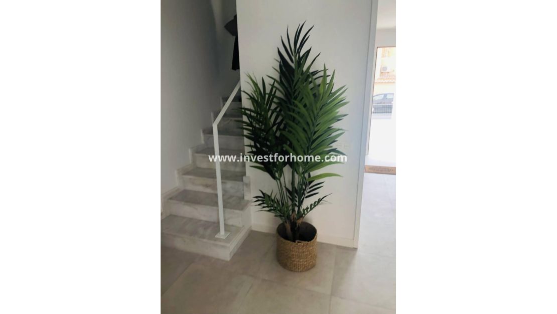 Vente - Maison - Torrevieja - aguas nuevas