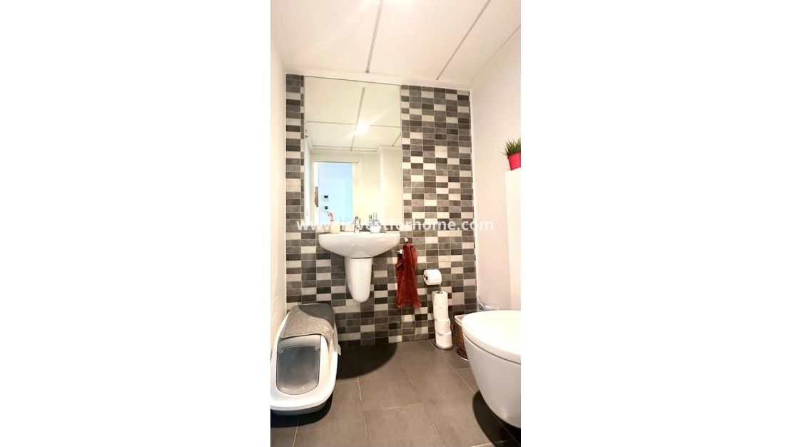 Vente - Maison - Torrevieja - aguas nuevas