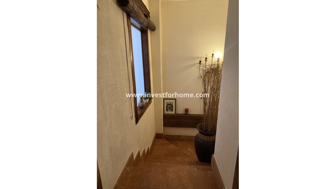 Vente - Maison - Torrevieja - Centro