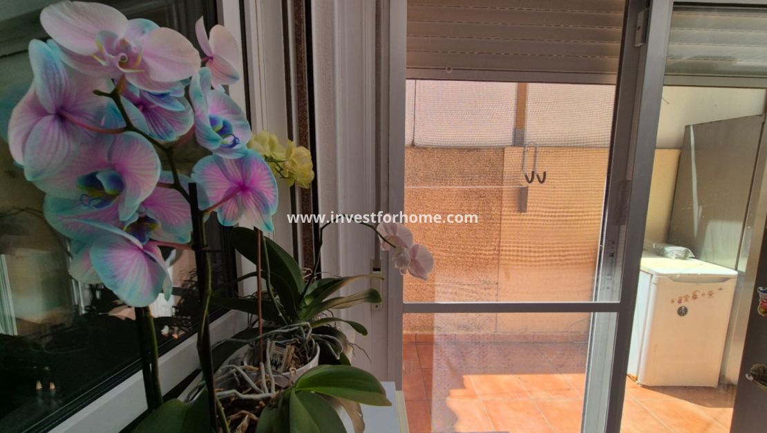 Vente - Maison - Torrevieja - Costa Blanca