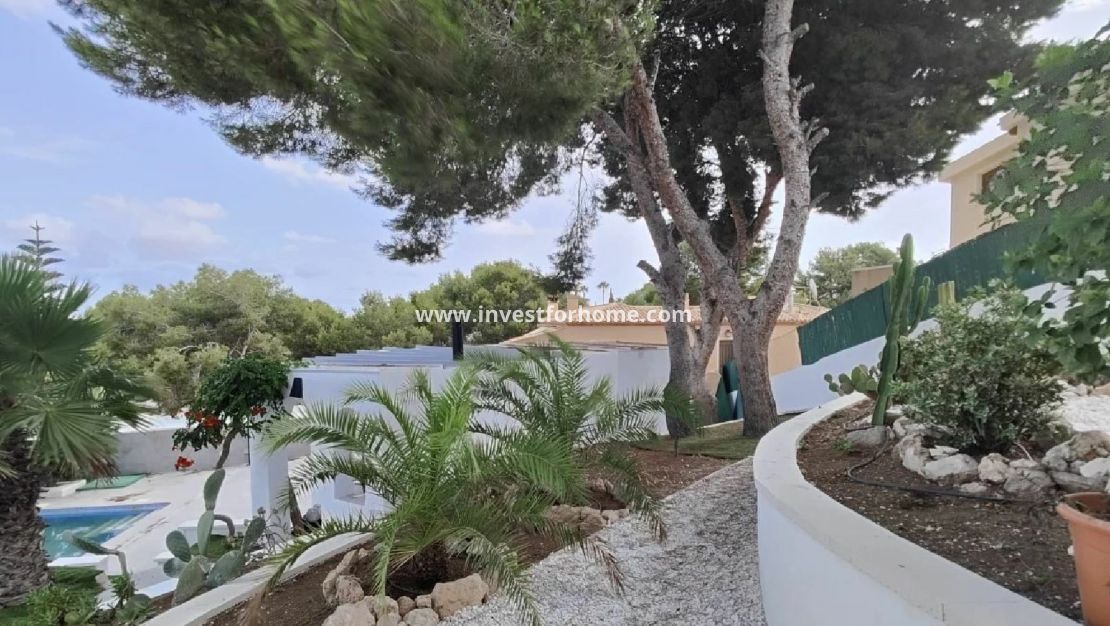 Vente - Maison - Torrevieja - Costa Blanca