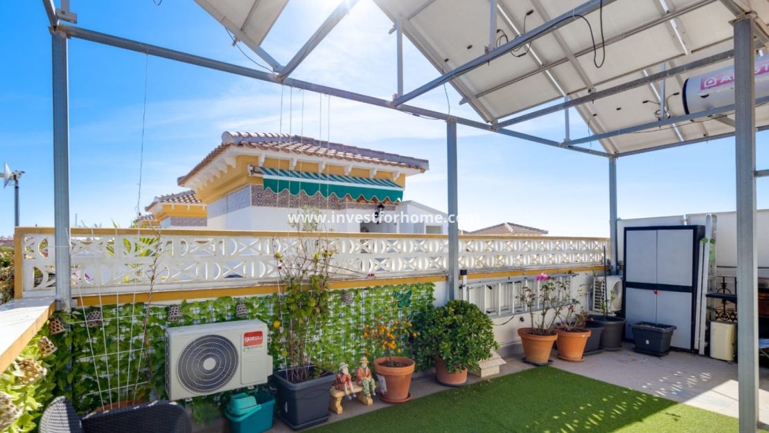 Vente - Maison - Torrevieja - Costa Blanca