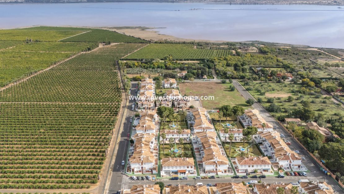Vente - Maison - Torrevieja - Costa Blanca