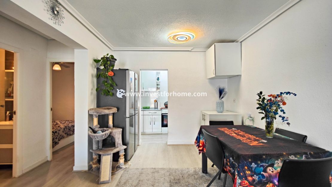Vente - Maison - Torrevieja - Costa Blanca