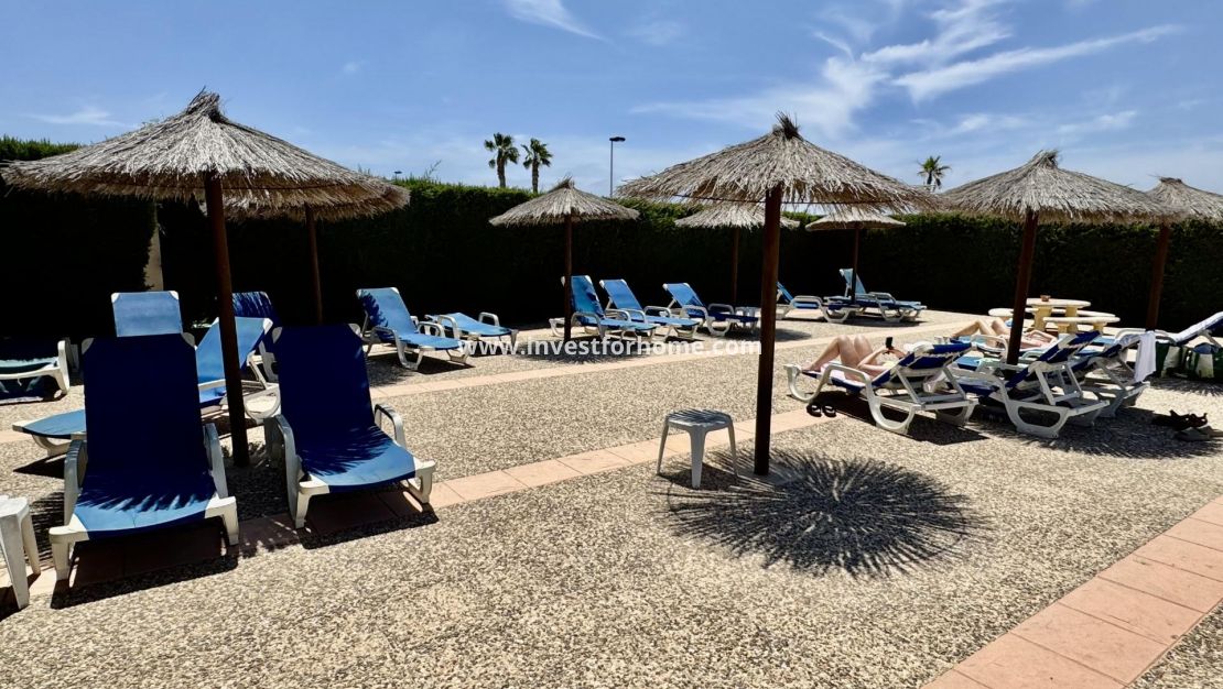 Vente - Maison - Torrevieja - La Siesta - El Salado - Torreta
