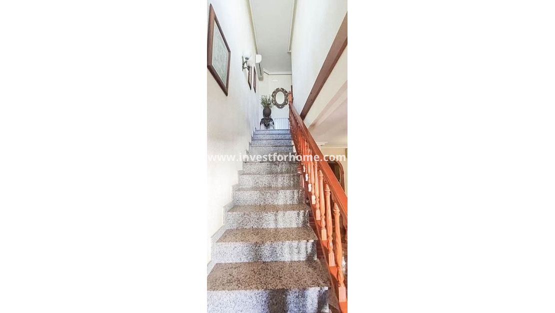 Vente - Maison - Torrevieja - Los Altos