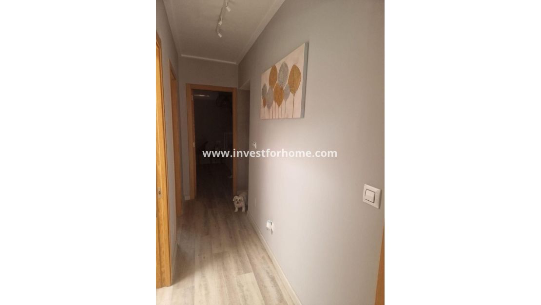 Vente - Maison - Torrevieja - Los Balcones - Los Altos Del Edén