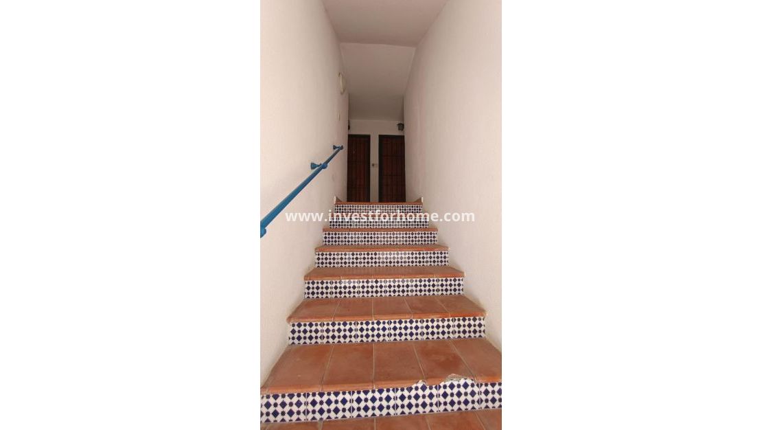 Vente - Maison - Torrevieja - Los Balcones