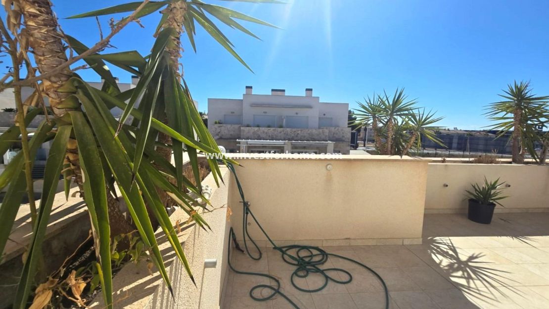 Vente - Maison - Torrevieja - Nueva Torrevieja - Aguas Nuevas