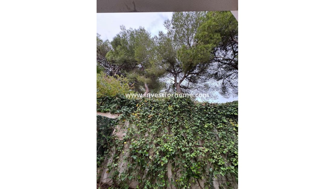 Vente - Maison - Torrevieja - Punta prima