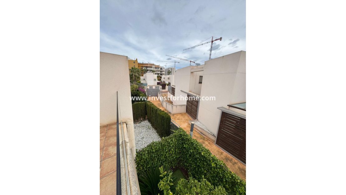 Vente - Maison - Torrevieja - Punta prima
